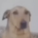 emoji_57 custom emote from 𝘿3𝙎 𝙈𝘾