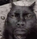 catdaden Discord Emoji - 𝘙𝘌𝘈𝘓𝘐𝘛𝘠 𝘈𝘞𝘈𝘐𝘛𝘚... but after 24.7