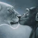 A lioness and a chimpanzee pressing their faces together in a kiss.