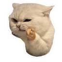 catangry custom emote | Chi on air