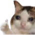 ok Discord Emoji - #VTuberTH/ToBreakTheLoop
