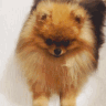 0_TeddyKiss animated emote | DM Request 📪 ⌇ Ask To DM & Chatting ⌇ Non Dating ⌇ Social ⌇ Friendly ⌇ Nitro ⌇Non Toxic