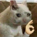 Nice Discord Emoji | *Hs7* United Animals Den