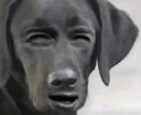 emoji_5 custom emote | 𝙂𝙇𝙊𝘽𝘼𝙇 𝙀𝘿𝙄𝙏𝙊𝙍𝙎