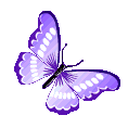 purple_butterflyy animated Discord emote | +995
