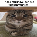 iseeyou custom emote from Aja’s domain !