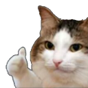 okcat Discord Emoji | Heart.exe