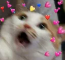 cat_fear Discord Emoji | Heart.exe