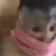 emoji_59 animated Discord emote - N,A