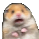 scaredHampter Discord Emoji - ATGs (All The Gamers)