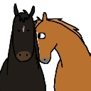 A brown horse looking sideways with a skeptical expression next to a black horse staring forward.