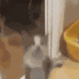CatYipee animated GIF emoji | Besties Community