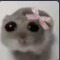 Screenshot20260413203916 custom emote - Vandox_YT