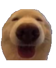 dawg Discord sticker | Why_soi hgo