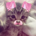 kawaiCat custom emote from Heart.exe