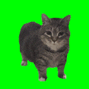 uiiauiia animated Discord emote | Adultcord│Social & Gaming