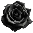 blackf Discord Emoji | S3xting Paradise 18+