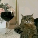 A tabby cat sitting next to a glass of red wine with a smug and unimpressed expression.