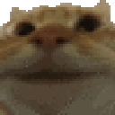 Sisi animated Discord emote - Winners Circle