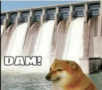 Cheems dog standing in front of a large dam with the text DAM! overlaid.