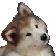 etcDoggoWonder animated Discord emote - ᎶᏋo 🇵🇸 🇸🇾❤