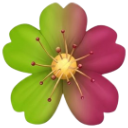 Flower with a green to magenta gradient and a yellow center.