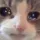 1125079467832922112 Discord Emoji | דושי גאנג