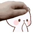 petmilkbear animated GIF emoji from Ashad's server