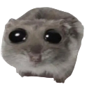 sadhamster Discord sticker | 冲浪TV
