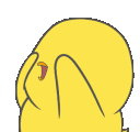 A small yellow chick covering its face with its wing in a shy gesture.
