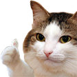 thumb Discord sticker - 🌴 ✨   U T O P I A   ✨ 🌴