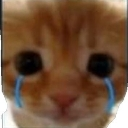 catcry custom emote | Goober N' Chill 🐌