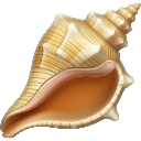 grinderconchshell Discord Emoji - The Grinder
