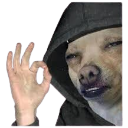 perfeito Discord sticker from Again