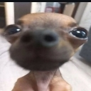 emoji_6 custom emote | CENTRAL RJ|#500