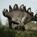 Stegosaurus walking through grassy terrain with its spiked tail visible.