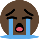 brown_cry Discord Emoji from (RFC) || Roblox Fighting Championship