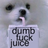 dumb_fuck_juice Discord Emoji - 𝑪𝒓𝒚𝒔𝒕𝒂𝒍 𝑴𝒊𝒏𝒆 18+