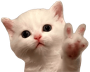 kittenpeace custom emote from The MOON haunts me