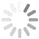 Loading spinner icon consisting of a circular arrangement of gray bars.