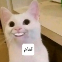 emoji_31 custom emote | 𝐌𝐗𝐏𝐈𝐎𝐑𝐄𝐑 𝐂𝐨𝐦𝐦𝐮𝐧𝐢𝐭𝐲