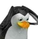 Penguin with a wide-eyed, concerned expression looking slightly to the side.