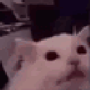 9183flashbang animated GIF emoji | The Nerd Dungeon: LGBTQ+, Dating, 18+, and Dungeons
