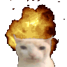 1751epiccatboom animated Discord emote from Global Creative Design Community