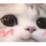 catcute Discord Emoji | Study Space