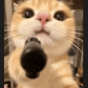 emoji_28 custom emote | West 187 Network