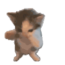 cat_dance animated emote | KXH SV
