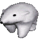 Polar bear model spinning in a loop with a neutral expression.