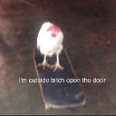 A chicken standing on a skateboard with text that reads I'm outside bitch open the door.