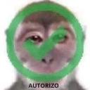 autorizado custom emote - CobbleTech: Dungeon Trials